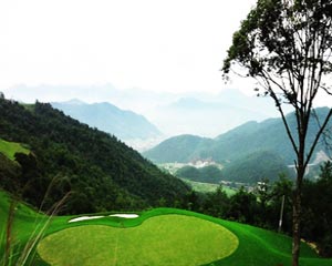 文件数3