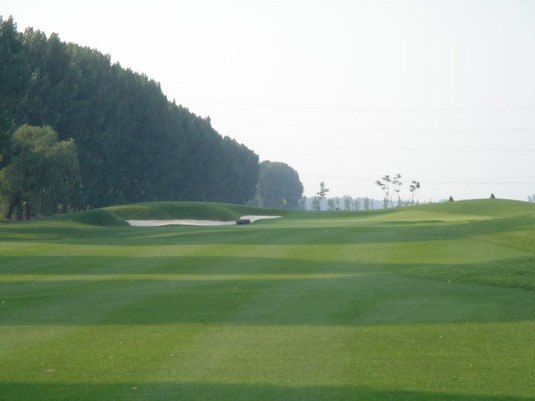 文件数5