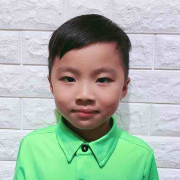 张镇显 王崇宇 王鑫瑜 陈曾宪章 zhang,jiawen 曾俊杰 吴泽轩 王樱儒