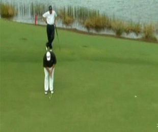 大鲨鱼大奖赛马克