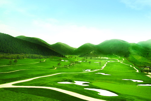文件数5
