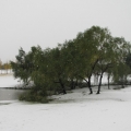 北京大雪球