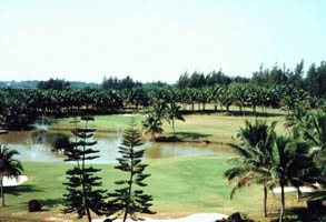 文件数5