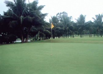 文件数8